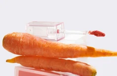 Глянцевый тинт для губ AMUSE Healthy Dew Tint 04 Carrot Dew